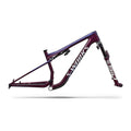 2027 S-Works Epic 9 Frameset