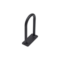 Globe Passenger Handlebar