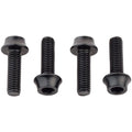 Bottle Cage Bolts