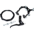 1999 Brake & Lever Set