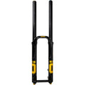 DH38 m.2 Coil Suspension Fork