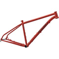 P-29er Frame - Dirt In Blood