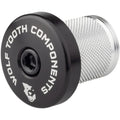 Compression Plug With Integrated Spacer Stem Cap