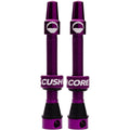 Tubeless Presta Valve Set