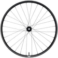 Era SL Front Wheel - 29", 15 x 110mm, 6-Bolt, Carbon Black