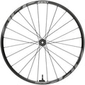 1Zero HiTop SW Front Wheel - 29, 15 x 110mm, Center-Lock, Tubeless, Standard, TyreWiz, A1
