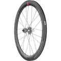 Speed 55 DB Rear Wheel