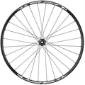 Shimano Tiagra/Weinmann U28 Front Wheel - 700c, 12 x 100mm, Center-Lock, Black, 28H