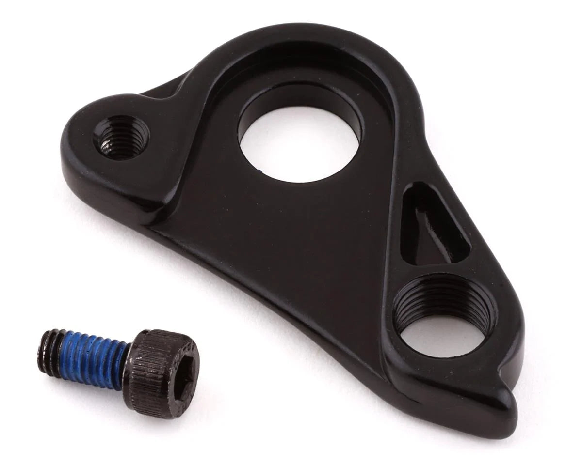 Specialized Road Disc Thru-Axle Derailleur Hanger – Sierra